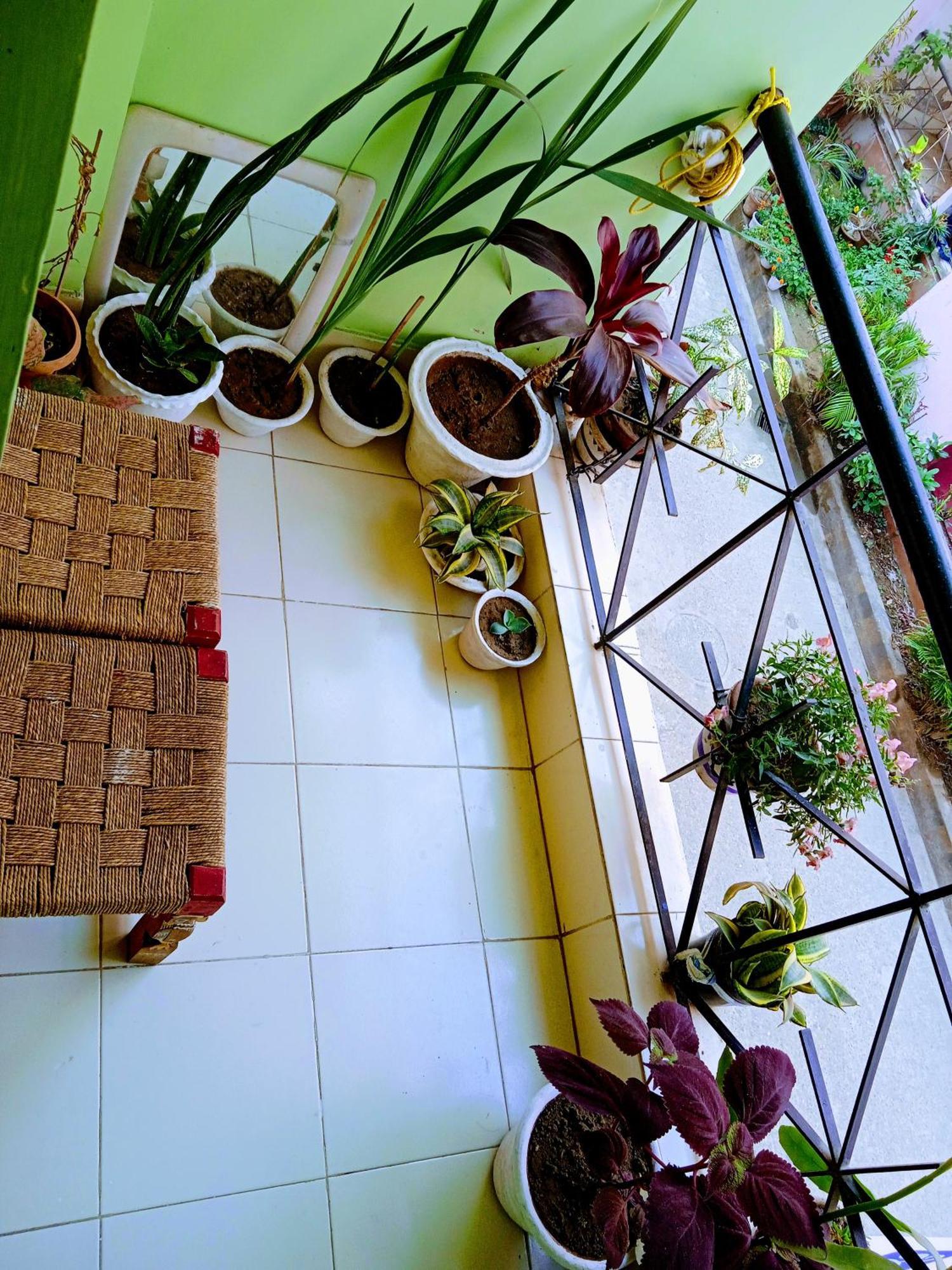 Bhoboghure Homestay Santiniketan Болпур Экстерьер фото